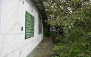 CASĂ TRADIȚIONALĂ CU GRĂDINĂ GENEROASĂ ȘI VIE – ISACCEA, JUD. TULCEA - Poză 2