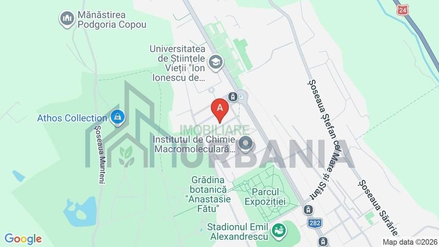 Ofer spre închiriere spațiu pentru birou, Copou - Poză 1