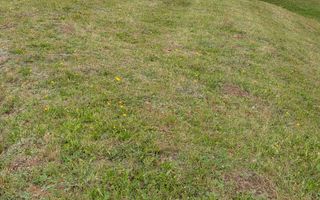 Parcele teren cu Panorama la Lac Colibita-ideal Cabana, Pensiune - Poză 6