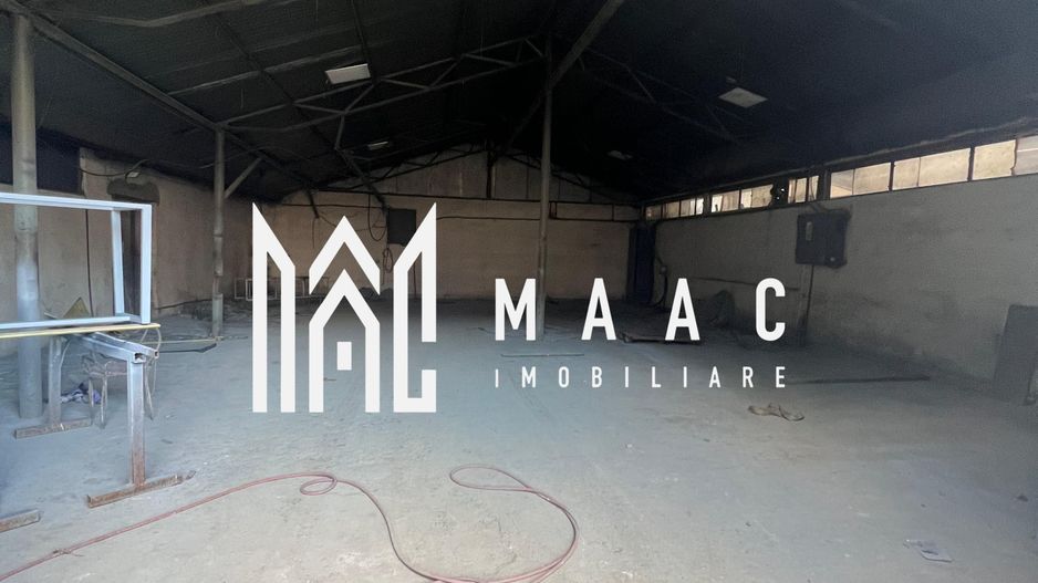 Hala | 380 MP | Teren 800 MP - Poză 3