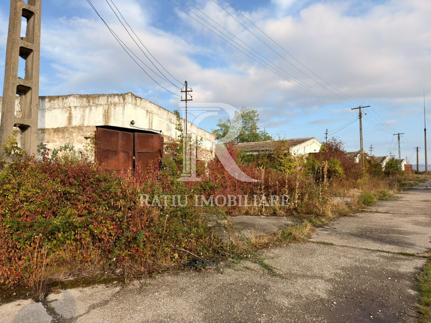 Fermă Sărand | Bihor | 25.659 mp teren intravilan - Poză 13