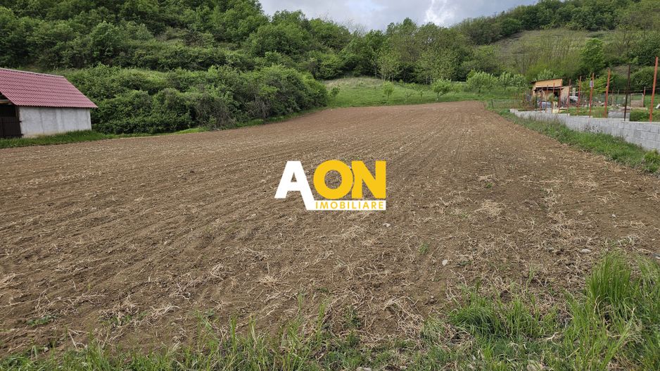 Teren intravilan langa Alba Iulia, 2742 mp, comuna Vintu de Jos - Poză 2