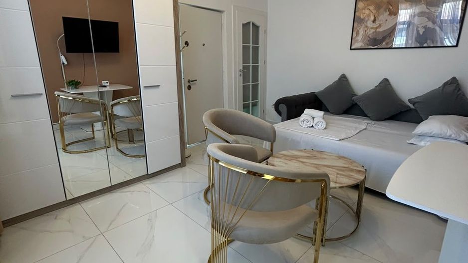 APARTAMENT 2 CAMERE INCHIRIAT  PARCUL CAROL - TINERETULUI - Poză 11
