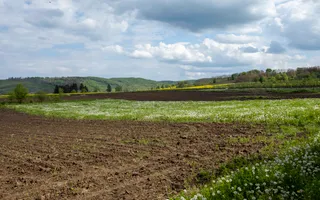 Teren intravilan 4.000 mp Blăgești, Bacău - Poză 12