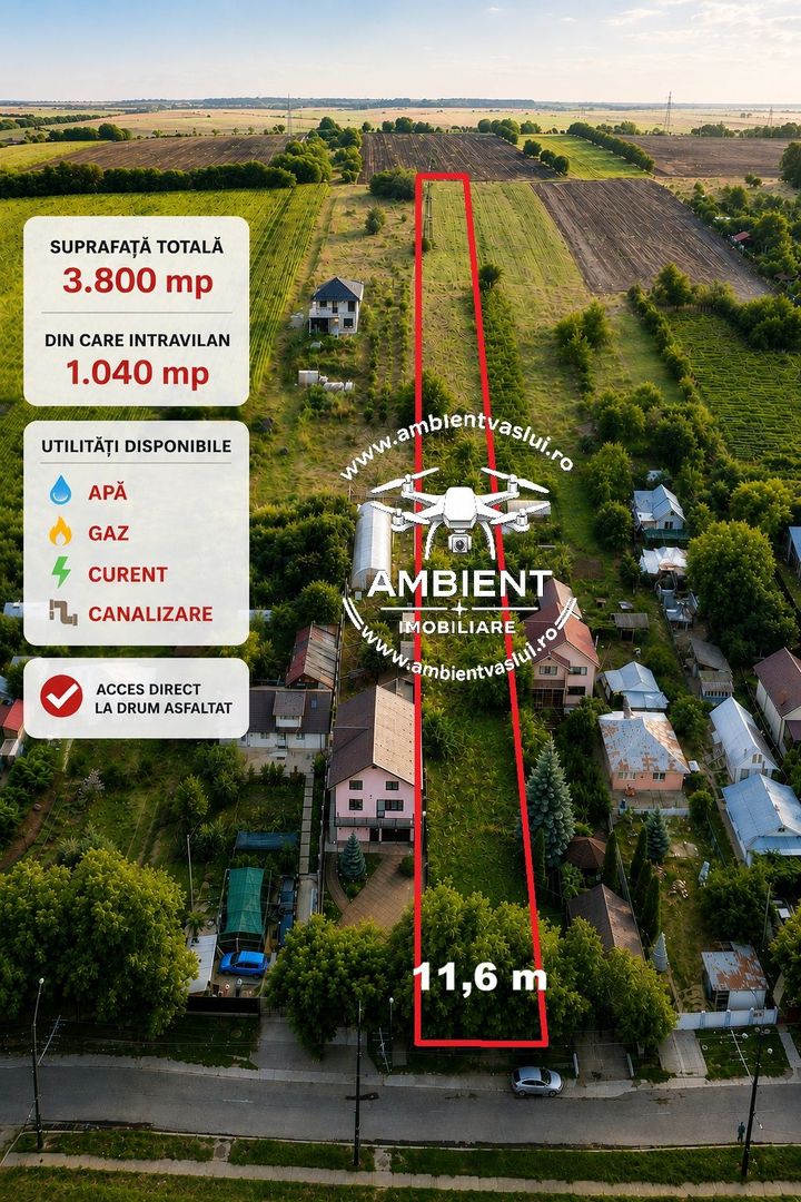 Teren 3.800 mp zona CASTANILOR, ideal pentru locuință, investiție sau extindere - Poză 1