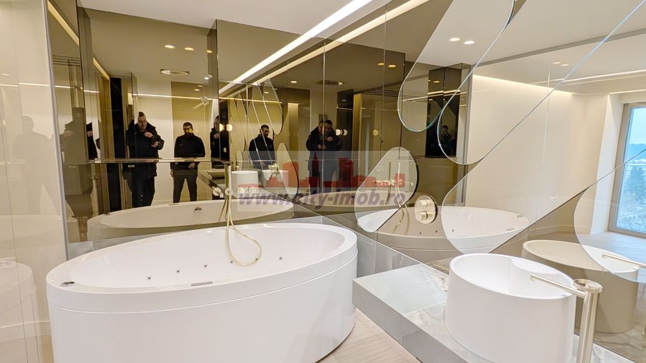 Innhiriere Penthouse Iancu Nicolae Gradina Zoologica - Poză 27