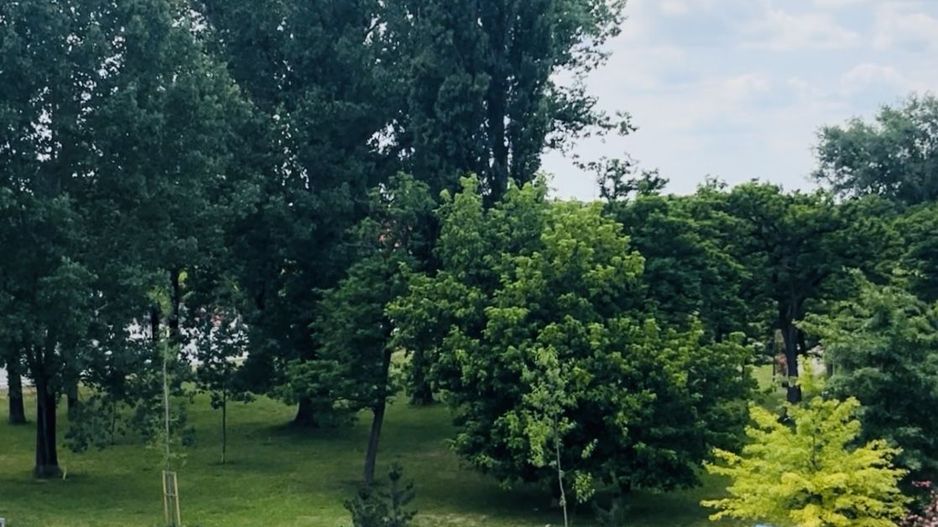 Apartament 2 camere,  elegant si spațios, zona Soarelui - Parcul Lidia - Poză 4