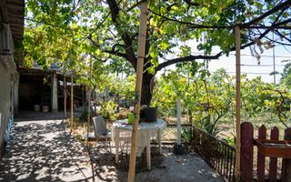 Casa cu 620 mp de teren in Rogerius - Poză 10