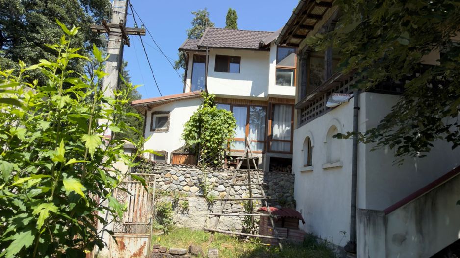 Casa | Bradetu, Arges | Crama | Tranfagarasan | Vidraru - Poză 31