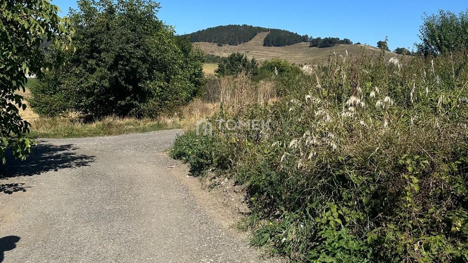 Teren intravilan Sanpetru Lempes str Dealului - Poză 5
