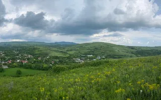 Domeniu 15.900 mp în Fințești | Casă + Investiție Dealu Mare - Poză 17