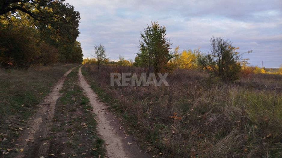 Teren cu Potențial Mare de Dezvoltare – 12 Ari în Chetrosu, Anenii Noi - Poză 7