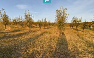 Pivnițele Birăuaș D.O.C Miniș - RATE FĂRĂ DOBÂNDĂ - Poză 35