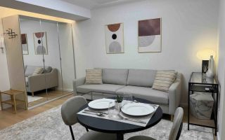 STUDIO PREMIUM | PET FRIENDLY | HERASTRAU - Poză 3