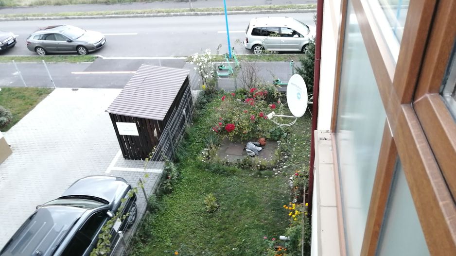 3 camere, structura mare, curte si garaj - Poză 21