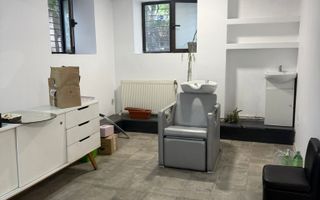 Oportunitate investiție – Spațiu comercial 110 mp, Take Ionescu - Poză 7