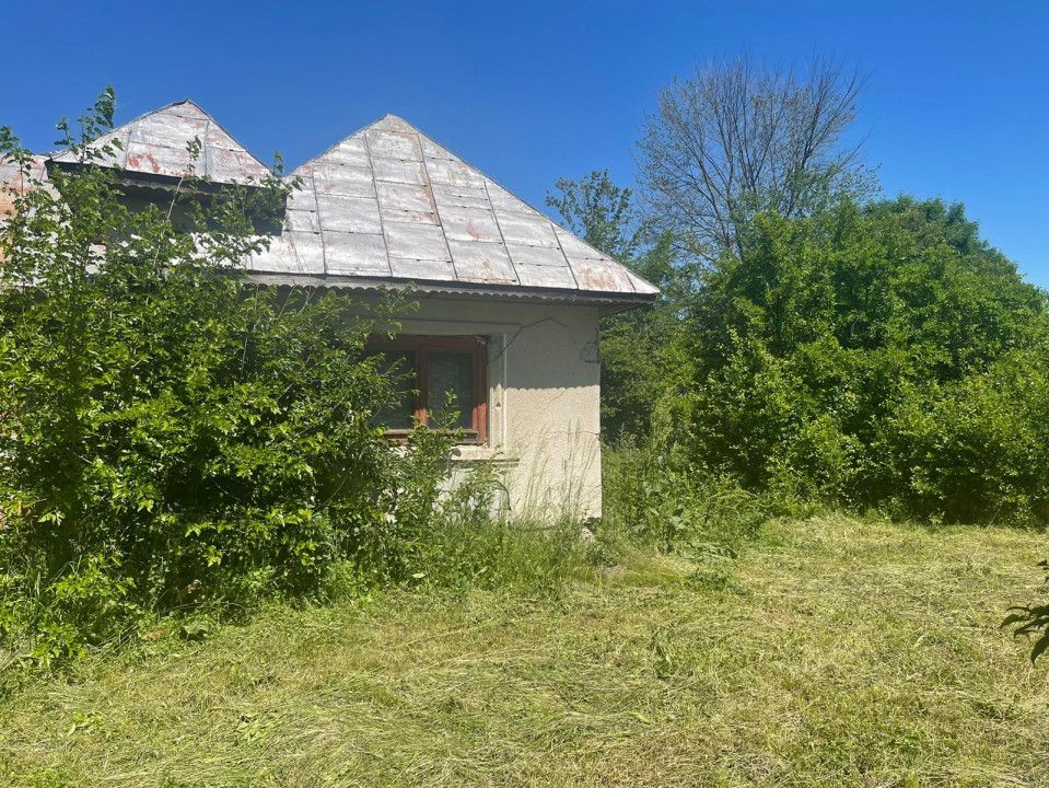 De Vanzare Gospodarie Cerbu - Poză 3