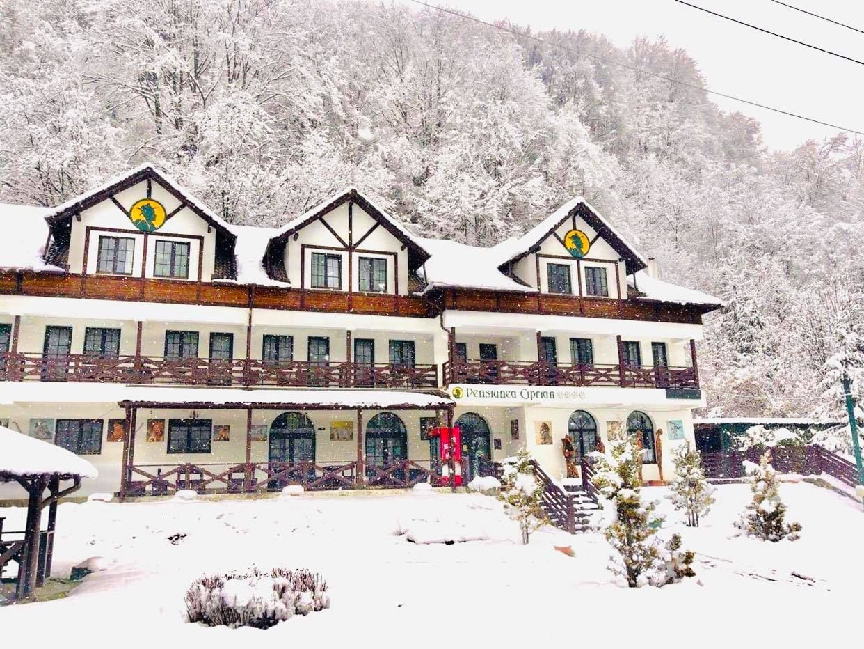 Pensiune de Vânzare în Brădetu – Acces la Apă Sulfuroasă, Vedere rau si munte - Poză 4