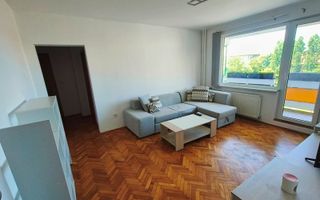 apartament spatios, ideal pentru studenti-Take Ionescu- Pet-Friendly - Poză 1