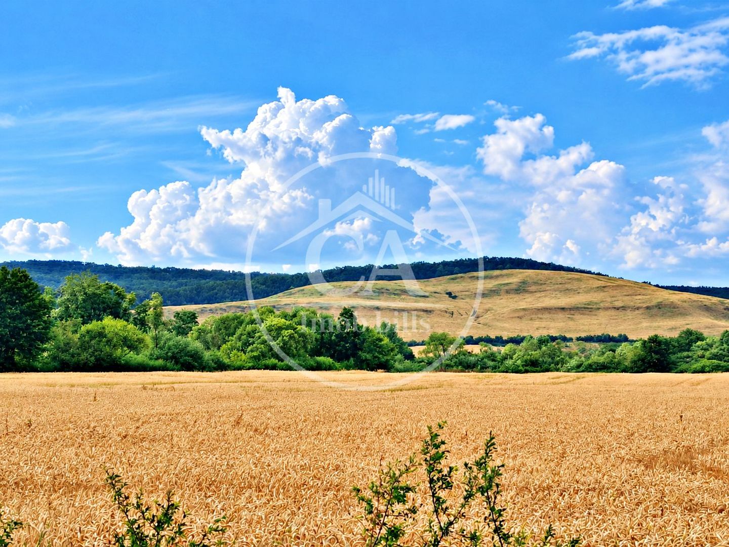 Teren intravilan de vanzare in Fughiu, Bihor - Poză 1