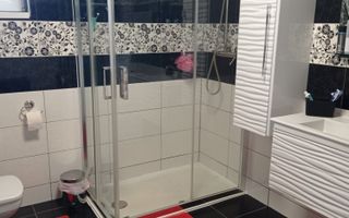 Casa 5 camere 220 mp-teren 2500 mp- terasa/garaj-Dealul Dumitrei - Poză 5