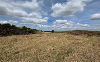 Teren Extravilan Biharia - Poză 2