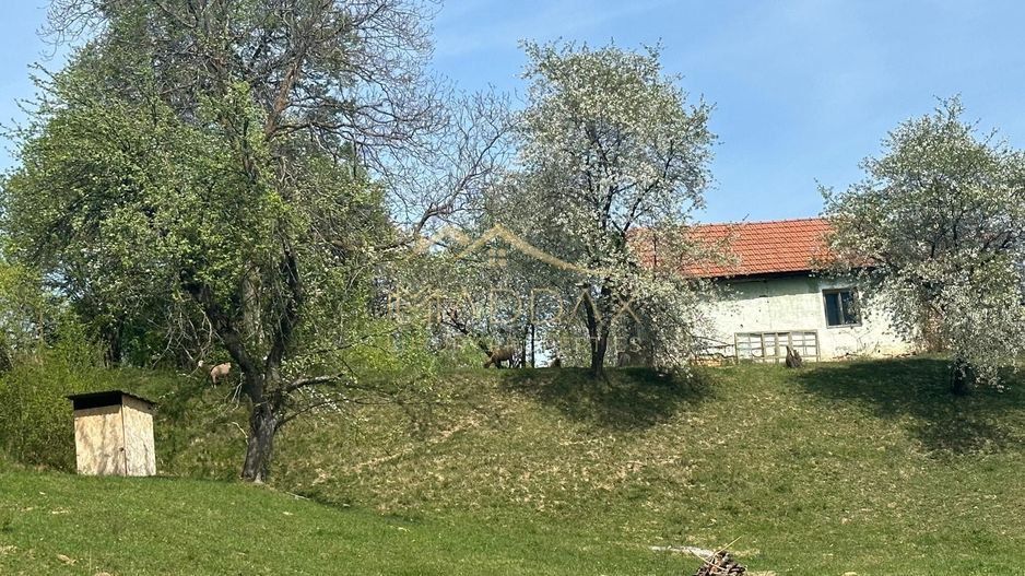 Teren Intravilan**11000 MP**Panorama spectaculoasa**Bran/Brasov - Poză 3