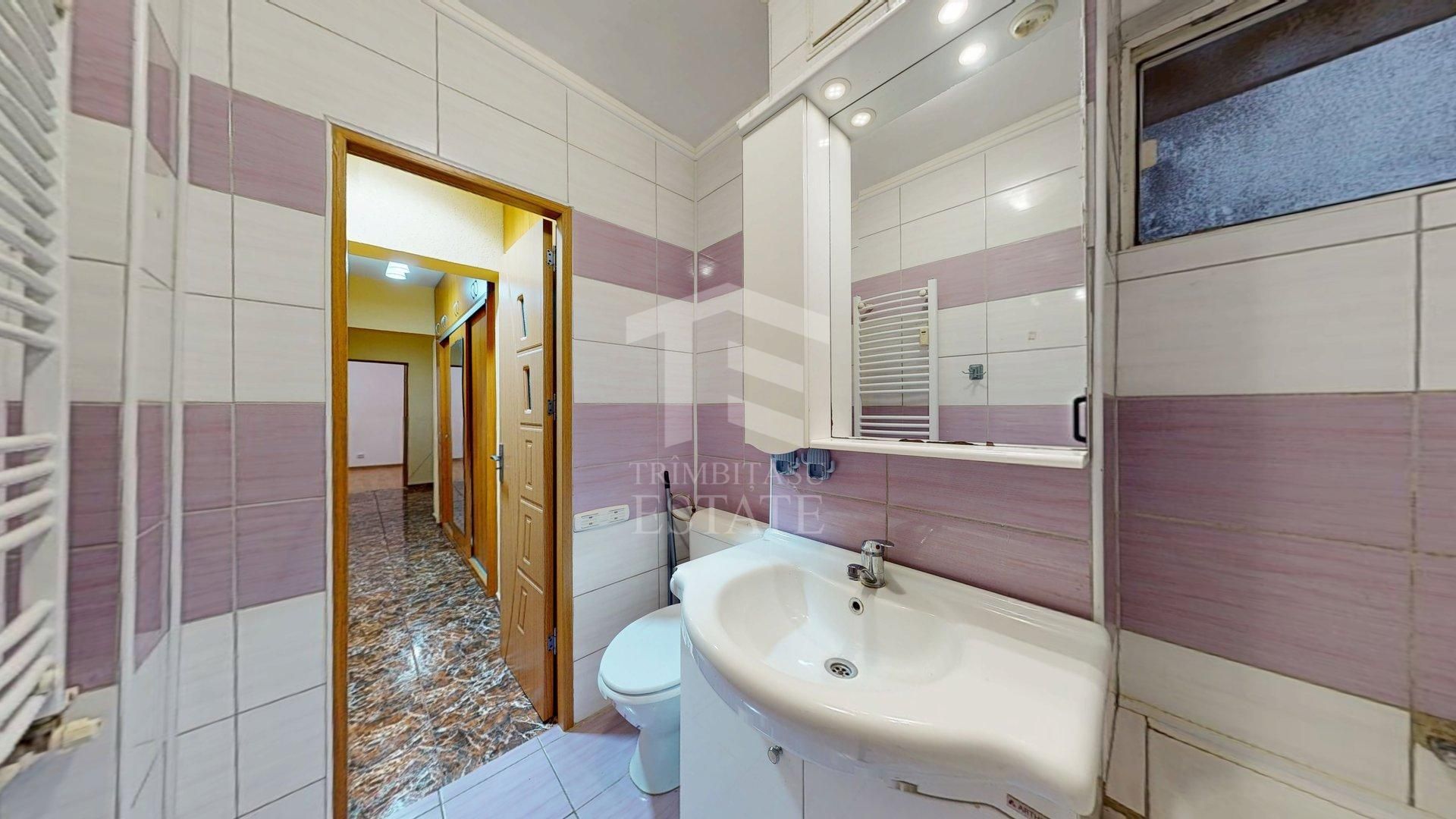 Apartament 3 camere Lacul Tei Teiul Doamnei - Poză 18