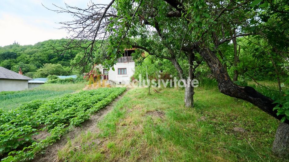Casa cu teren generos - 4696 mp Apa Sarata - Campulung !! - Poză 8