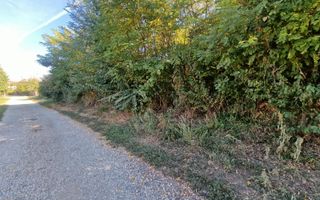 Teren 2121 mp în Topoloveni, - str. Inuri - Poză 2