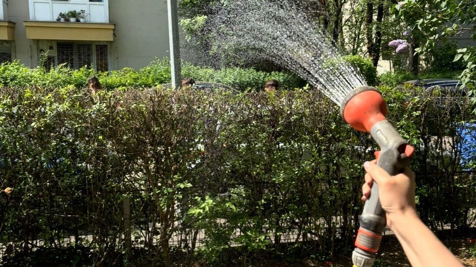 2 camere parter | pet friendly | acces gradina Floreasca - Garibaldi - Verdi - Poză 11