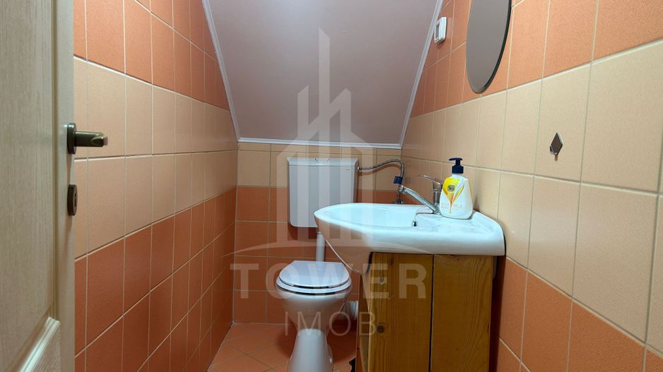 Casă de vacanță în Râu Sadului - Poză 6