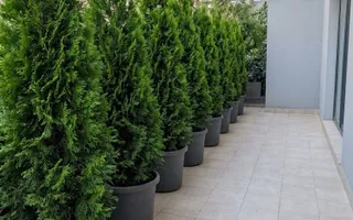 3 camere | Parter terasă 27 mp | Barbu Văcărescu | 2 parcări - Poză 12