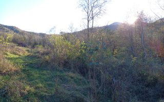 Teren intravilan Fântânele-Sibiu - Poză 5