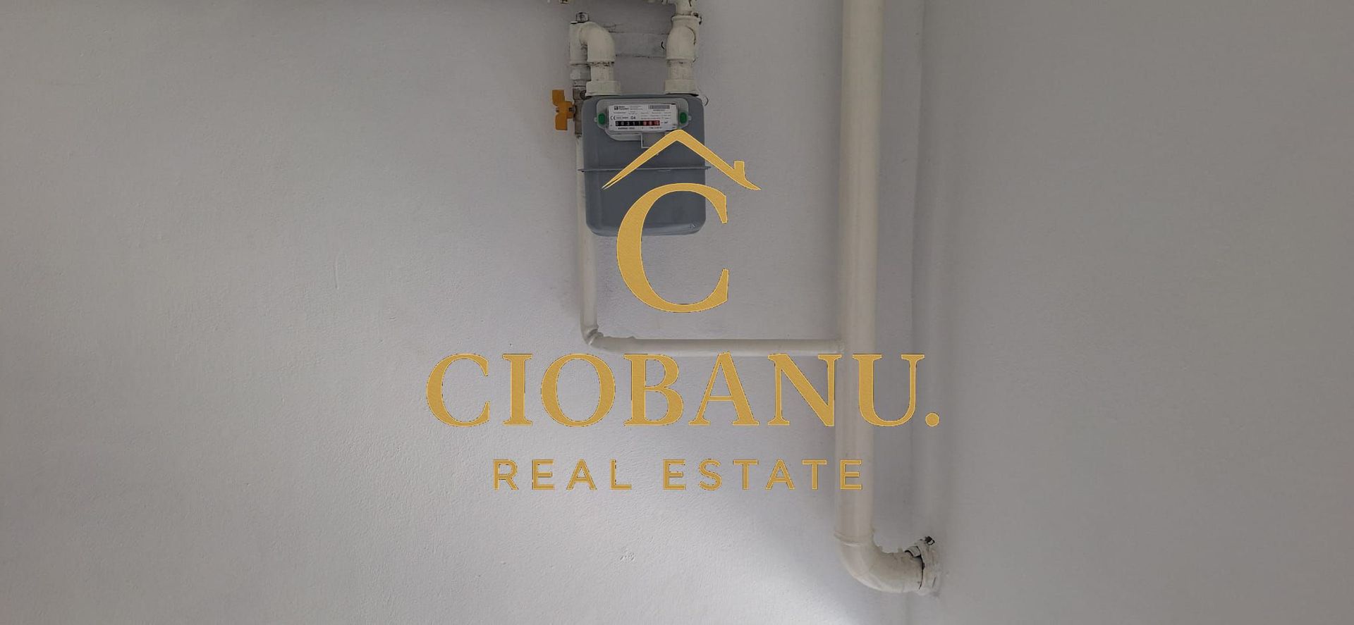 Hale industriale+Cladire de Birouri de inchiriat zona Aeroport - Poză 14