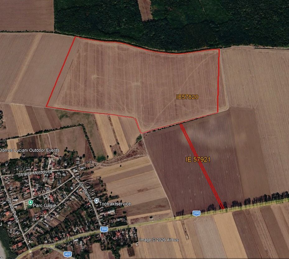 Teren intravilan 50,5 ha – Moara Vlăsiei - Poză 2