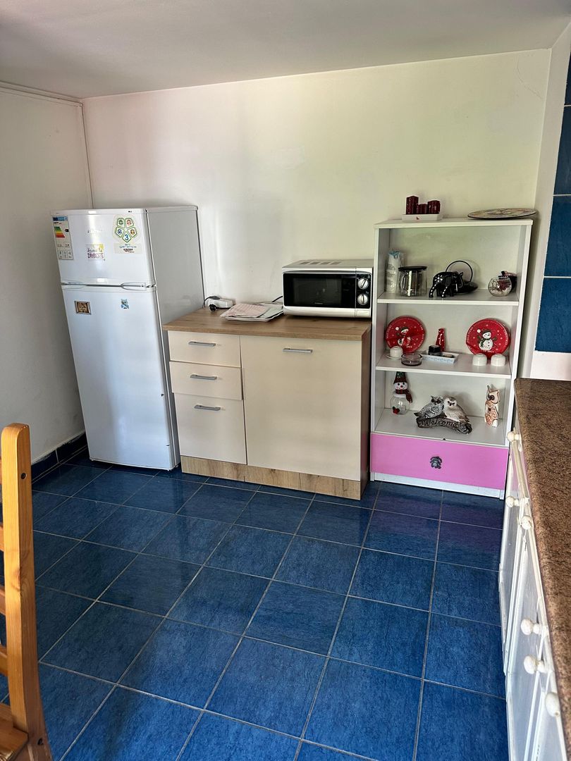 SPATIU COMERCIAL DOMENII, LOC PARCARE, CENTRALA, MOBILAT/UTILAT, CURTE - Poză 19