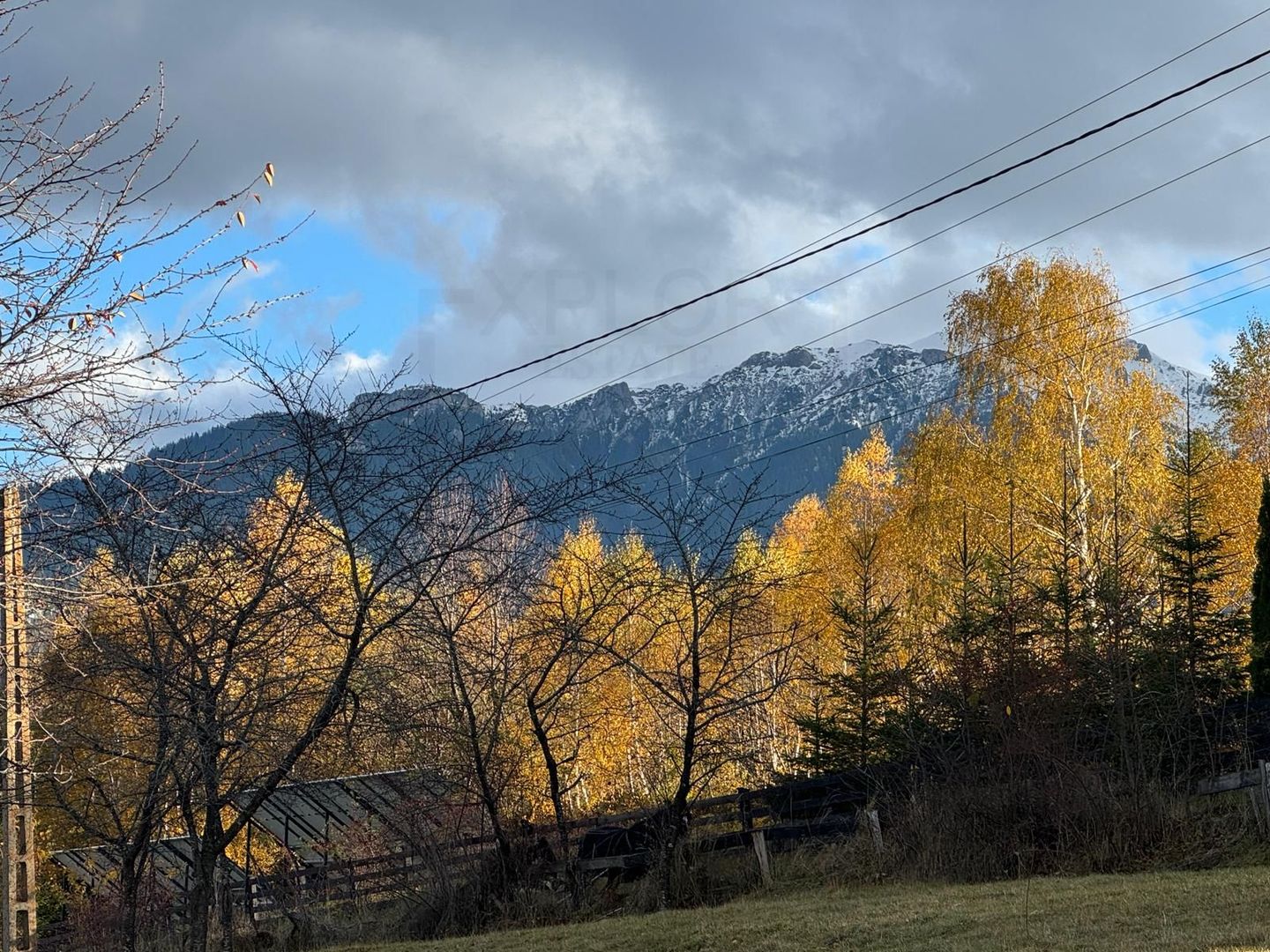 Intravilan 1000 mp | Sohodol-Priveliște panoramică către munți Bucegi - Poză 3