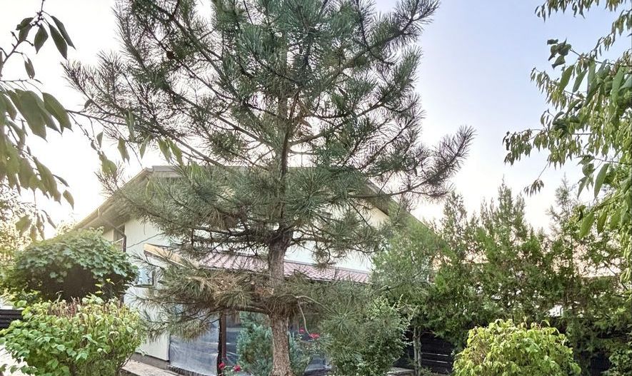 Casa cocheta, Corbeanca, langa padure - Poză 7