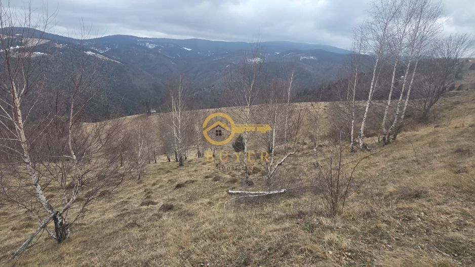 Teren investitie Paltinis - Poză 8
