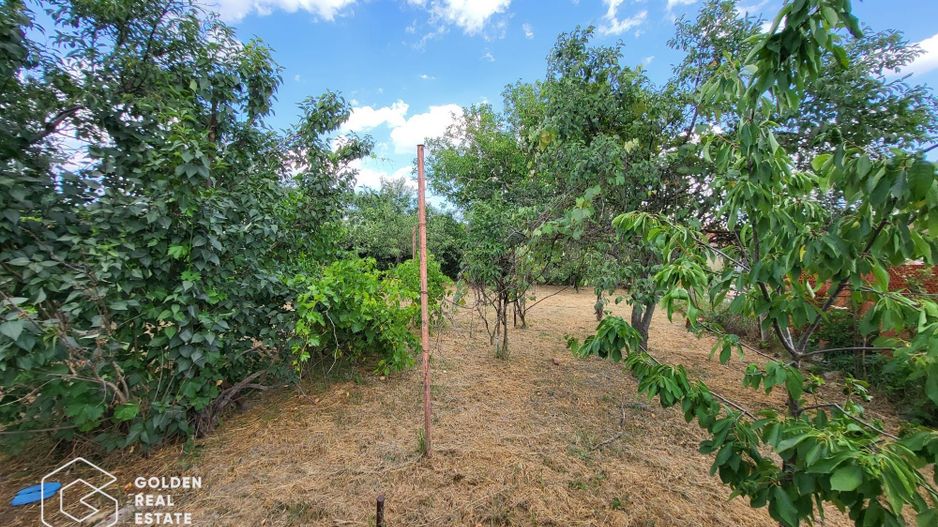 Casa P+M, sat Neudorf - Poză 24