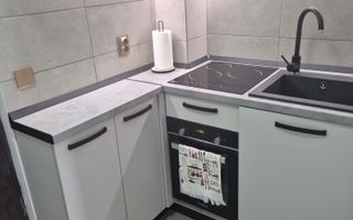 Garsoniera I 1 Camera I 21 MPU I Vasile Aaron - Poză 2