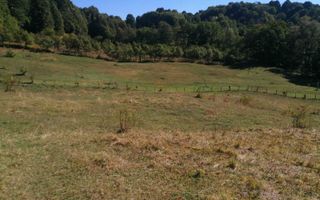 Teren Extravilan 20.000Mp I Stoenești -Vâlcea I Apă Curentă și Pădure - Poză 2