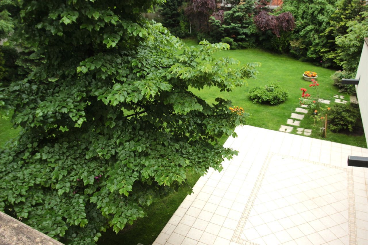 Vila impresionantă cu 15 camere, situată în zona Barbu Văcărescu - Poză 15