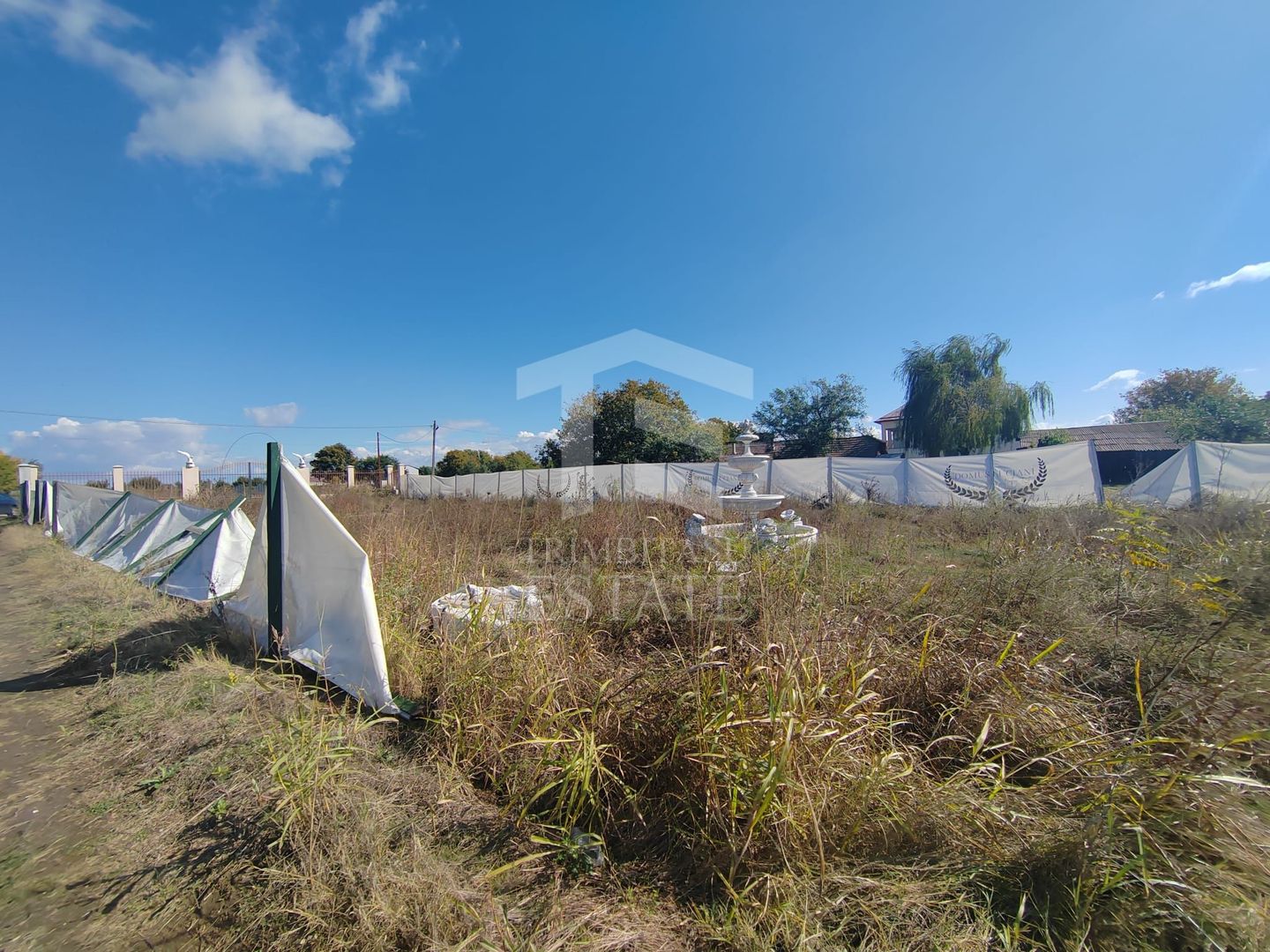 Gagu Dascalu teren ideal pentru investitie zona in dezvoltare - Poză 5