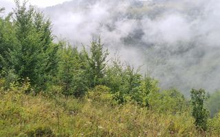 Super ofertă 35000 teren in Muntii Apuseni - Poză 13