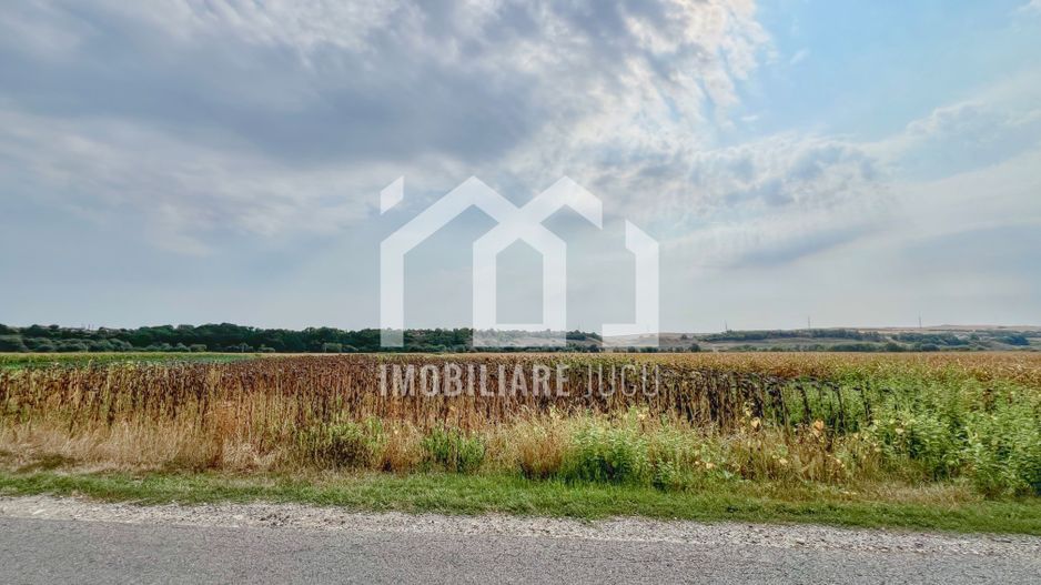 Loc de casă - Teren Intravilan 1000 mp – Jucu de Mijloc - Poză 3
