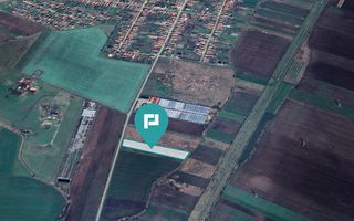 Teren arabil intravilan 10.333mp - Livada - Poză 3