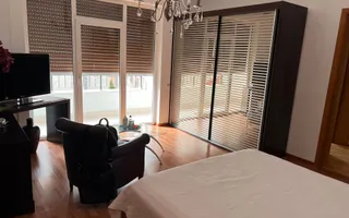 Vila deosebita 11 camere Erou Iancu Nicolae - Poză 11