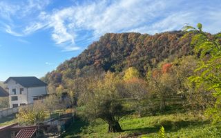 Teren | Vladesti | 1000 MP - Poză 1